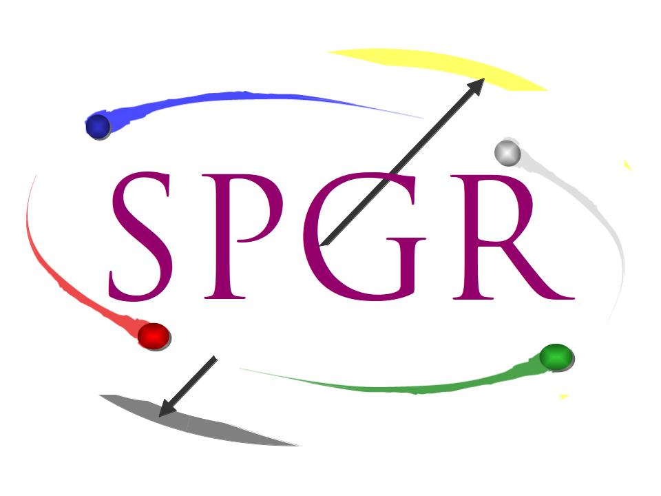SPGR - Systematizing the Person-Group Relation